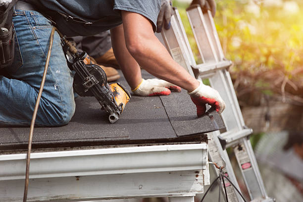 Best Roof Gutter Cleaning  in Halfway, MD